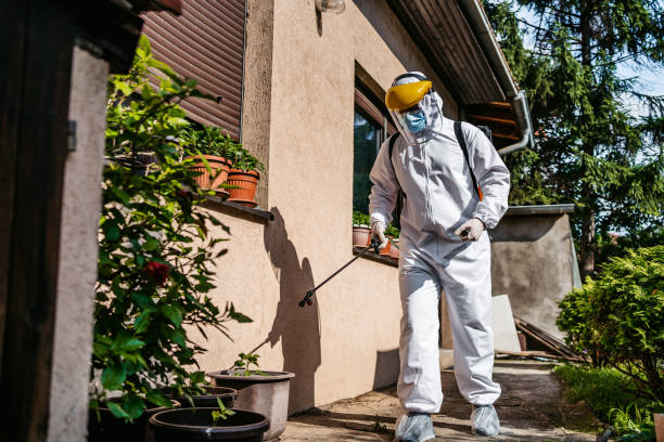 Wasp Removal Services in Talty, TX
