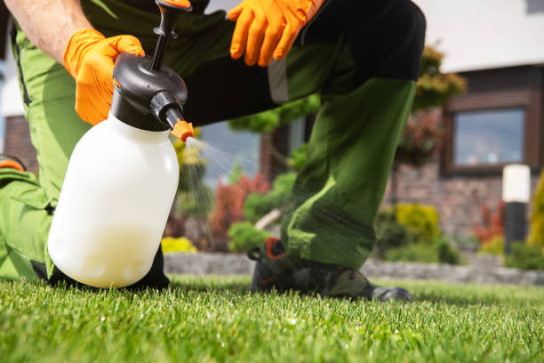 Best Bed Bug Extermination  in Talty, TX