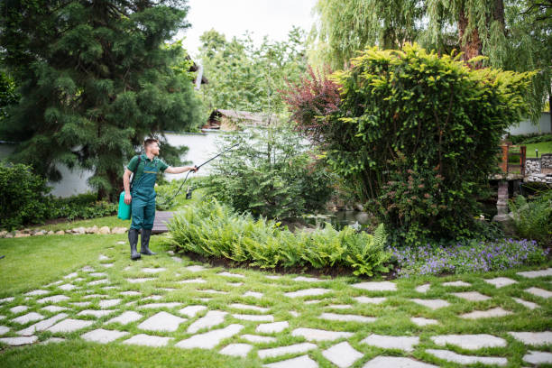 Best Residential Pest Control  in Talty, TX