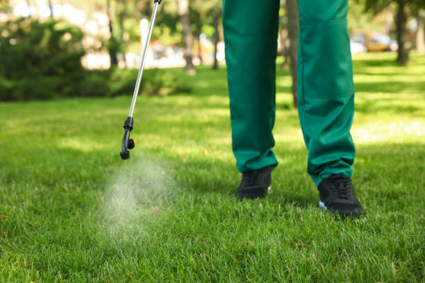 Best Insect Control  in Talty, TX