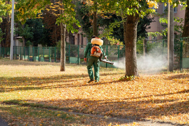 Talty, TX Pest Control Company